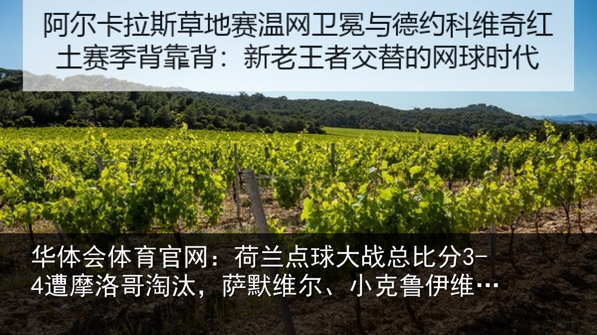 华体会体育官网:荷兰相关情况摩洛相关情况克鲁伊维特丢点